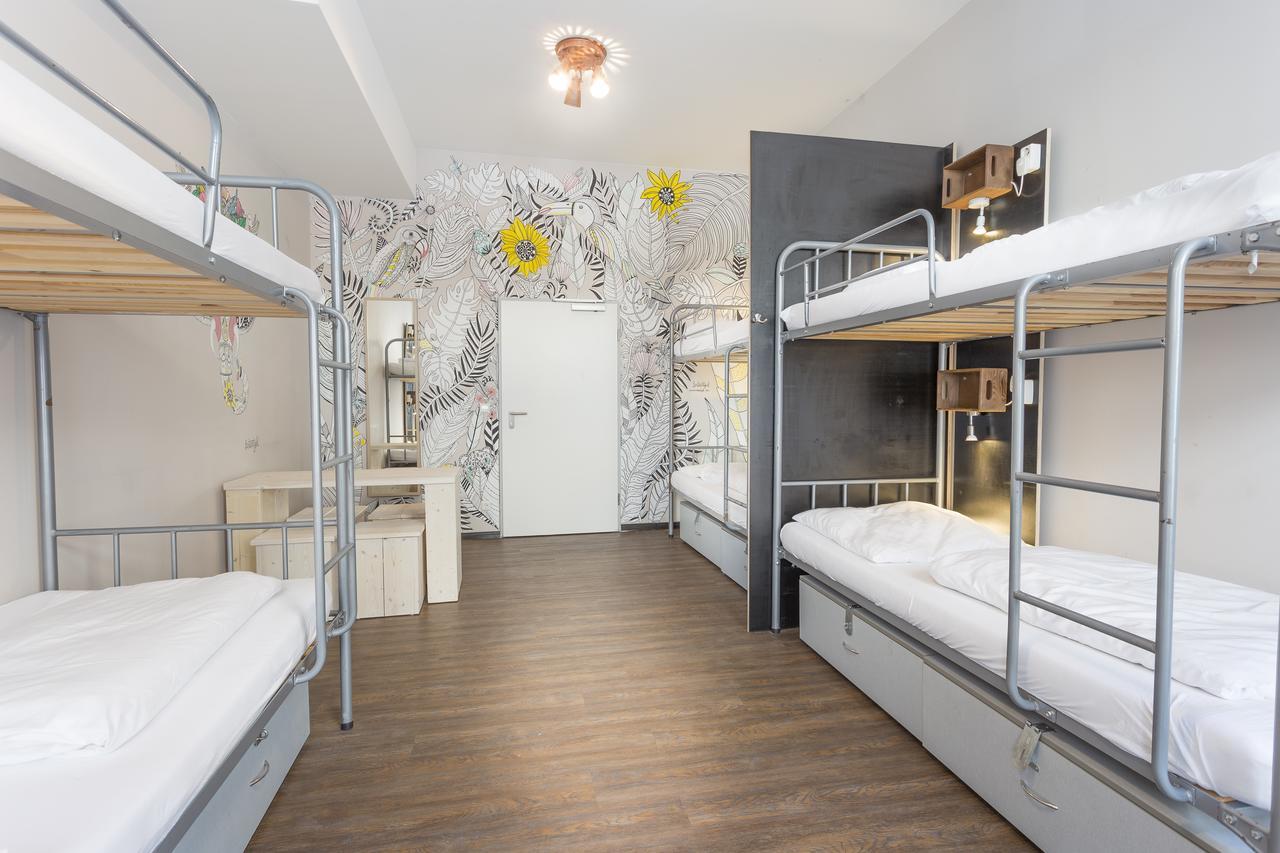 Albergue Sunflower